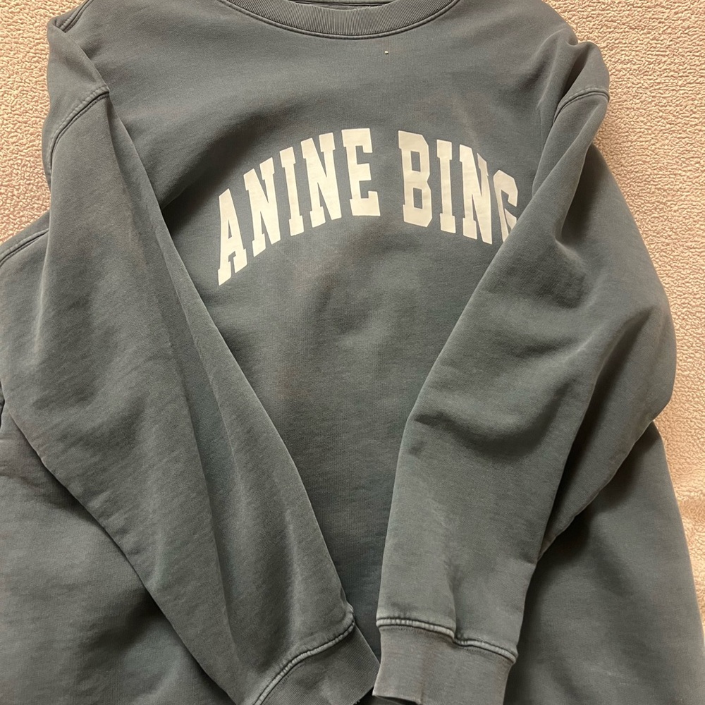 Anine Bing Charcoal Sweatshirt